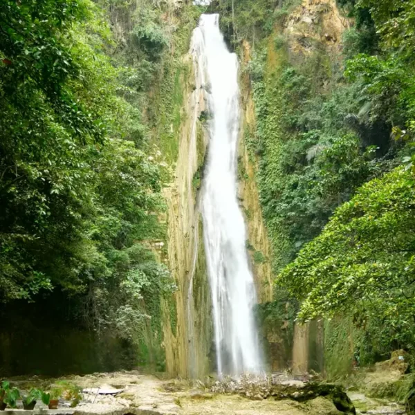 CEBU CITY / MOALBOAL 2D1N - Image 13